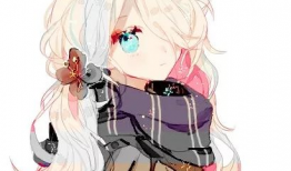 动漫图片女,梦幻般的青春风采