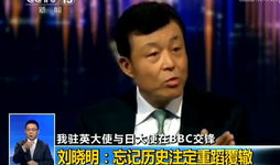 日本69视频,一场禁忌的视觉盛宴