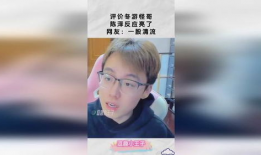 陈泽点评91直播,揭秘直播行业背后的精彩与争议